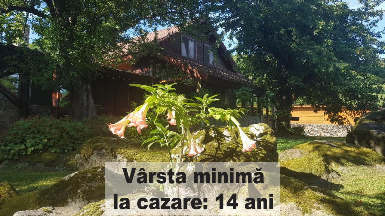 הוילה Vistisoara Casa Bunicului מראה חיצוני תמונה