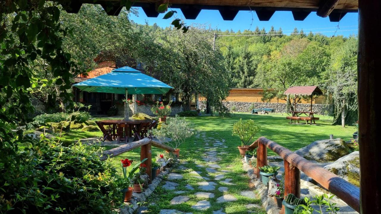 הוילה Vistisoara Casa Bunicului מראה חיצוני תמונה