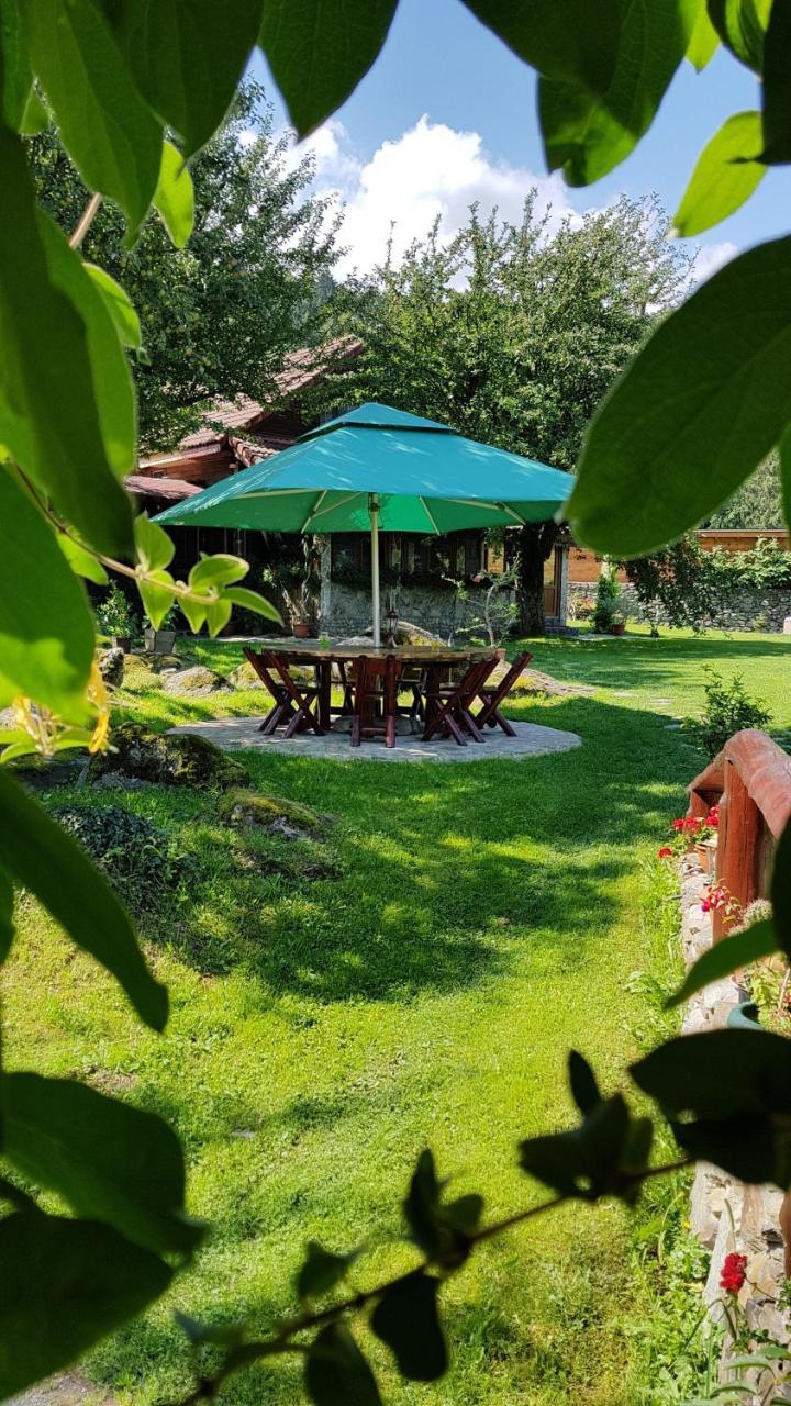 הוילה Vistisoara Casa Bunicului מראה חיצוני תמונה