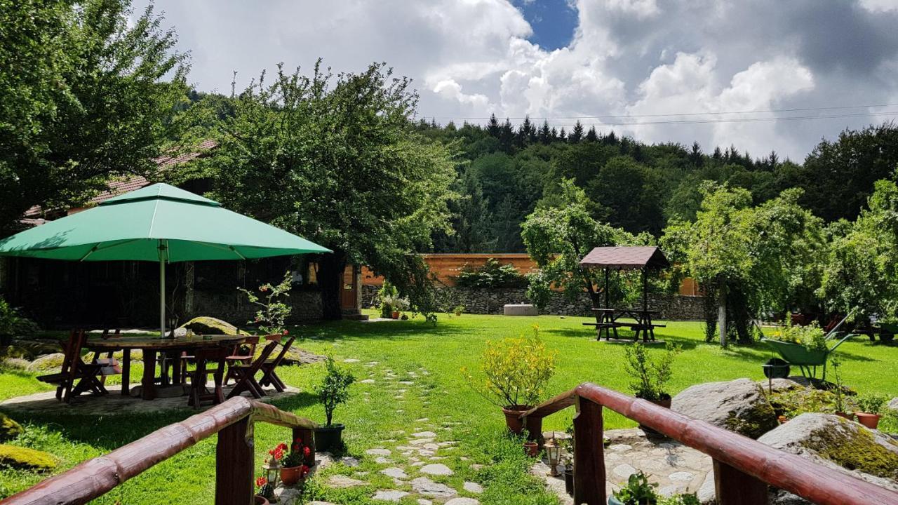 הוילה Vistisoara Casa Bunicului מראה חיצוני תמונה